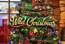 Wild Christmas Slot Review